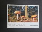 Oude Paddenstoelen Ansichtkaart, Verzenden, 1980 tot heden