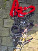Halsters maat full/cob, Dieren en Toebehoren, Ophalen