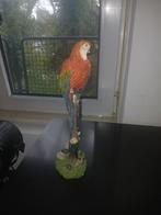 Papagaai beeldje, Verzamelen, Ophalen of Verzenden, Zo goed als nieuw, Mens