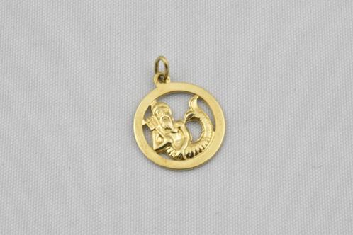 14 karaat gouden Sterrenbeeldhanger Waterman 1772-G, Sieraden, Tassen en Uiterlijk, Kettinghangers, Gebruikt, Goud, Goud, Kruis of Symbool