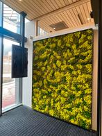 Mos panelen rendiermos 2m2, Ophalen, Zo goed als nieuw