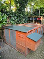 Kippen/konijnenhok te koop, Dieren en Toebehoren, Konijnen, Vrouwelijk, Groot