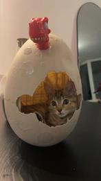 Kitten, Poes, Ontwormd, 0 tot 2 jaar