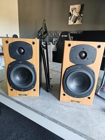 Tannoy Mercury M1 Cherry – compacte hifi monitors  beschikbaar voor biedingen