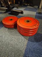 Halterschijven 25kg, Sport en Fitness, Fitnessmaterialen, Ophalen, Gebruikt, Halterschijven