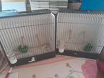 2 vogeltentoonstellingskooitjes, Ophalen of Verzenden, Gebruikt, Hout, Vogelkooi