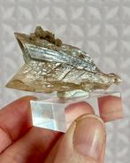 Zwaluwstaart seleniet (gips), Verzamelen, Mineralen en Fossielen, Verzenden, Mineraal