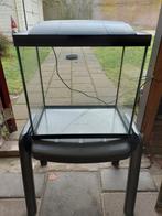 Aquarium, 30 liter met pomp en thermostaat, Dieren en Toebehoren, Ophalen, Zo goed als nieuw, Leeg aquarium