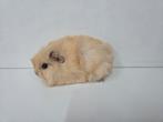 Zeugje en beertje, Dieren en Toebehoren, Knaagdieren, September, Meerdere dieren, Cavia