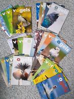 Nieuw Tijdschrift VOGELS jaargang 2000 tm 2016, Boeken, Tijdschriften en Kranten, Ophalen of Verzenden, Zo goed als nieuw, Wetenschap en Natuur