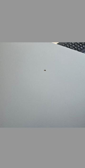 IKEA MALM Bureau met Uittrekbaar Blad - Wit 151 cm - afbeelding 6