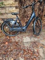 Gazelle electrische fiets bosch 61cm 625 watt 2023 13000km, 59 cm of meer, Ophalen, Zo goed als nieuw, Gazelle