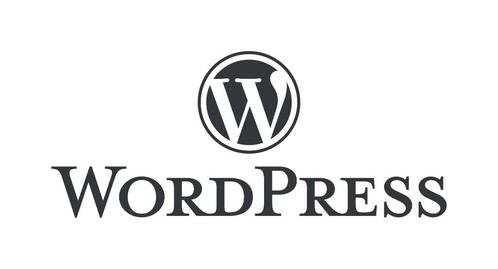 wordpress hulp nodig, Boeken, Advies, Hulp en Training, Nieuw, Ophalen of Verzenden