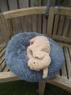Te koop Beeztees fluffy hond/katten mand, Dieren en Toebehoren, Hondenmanden, Ophalen of Verzenden, Nieuw, Pluche