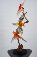 Opgezette parkieten - Opstelling van 3 - Wildernis Atelier, Ophalen of Verzenden, Nieuw, Vogel, Opgezet dier