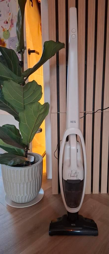 AEG 2 in 1 Steelstofzuiger incl kruimelzuiger, Witgoed en Apparatuur, Stofzuigers, Gebruikt, Ophalen of Verzenden
