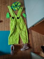 Leuke complete carnavals outfits!, Ophalen of Verzenden, Maat 36 (S), Carnaval