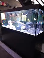 Juwel 450, Dieren en Toebehoren, Vissen | Aquaria en Toebehoren, Ophalen, Zo goed als nieuw