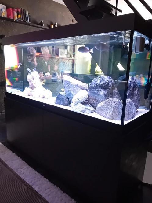 Juwel 450, Dieren en Toebehoren, Vissen | Aquaria en Toebehoren, Zo goed als nieuw, Ophalen