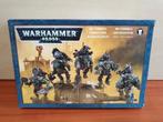 Warhammer 40k Ork Stormboyz, Hobby en Vrije tijd, Wargaming, Ophalen of Verzenden, Nieuw, Warhammer 40000, Figuurtje(s)