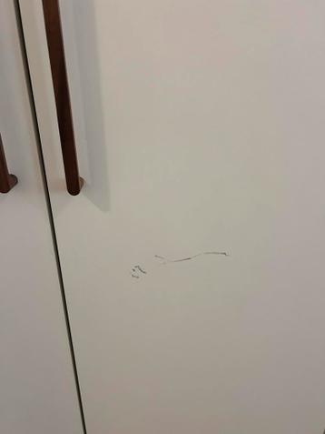 IKEA PAX Kast incl. deuren, lades & kledingroedes - afbeelding 5