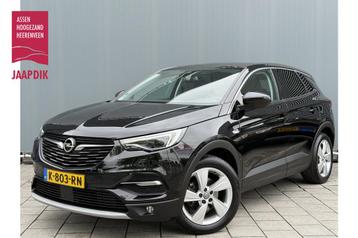 Opel Grandland X BWJ 2019 | 1.2 Turbo 131PK 120 Jaar Edition beschikbaar voor biedingen