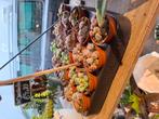 Lithops (levende steentjes), Huis en Inrichting, Kamerplanten, Vetplant, In pot, Minder dan 100 cm, Groene kamerplant