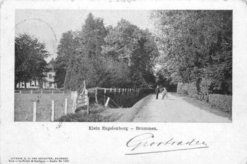 (380-230-023) Brummen Klein Engelenburg beschikbaar voor biedingen
