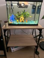 Aquarium superfish start 50, Dieren en Toebehoren, Vissen | Aquaria en Toebehoren, Ophalen, Zo goed als nieuw, Leeg aquarium