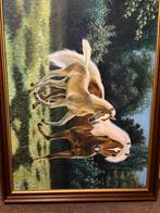 Olieverfschilderij op linnen doek van paarden, Ophalen