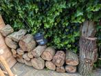 Haardhout wilg, Tuin en Terras, Haardhout, Ophalen