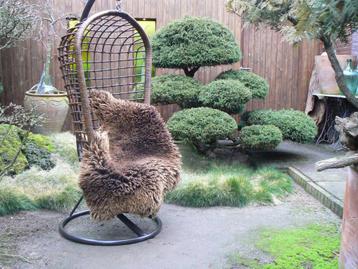 Prachtige Vintage Rotan Rohé Hangstoel 60's beschikbaar voor biedingen