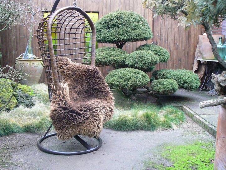 Prachtige Vintage Rotan Rohé Hangstoel 60's, Huis en Inrichting, Stoelen, Gebruikt, Eén, Metaal, Riet of Rotan, Bruin, Ophalen of Verzenden