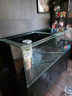 Complete hamster terrarium, Dieren en Toebehoren, Knaagdieren en Konijnen | Hokken en Kooien, Kooi, Minder dan 75 cm, Hamster