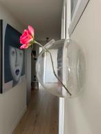 Glazen wandvaas voor bloemen of andere inhoud., Ophalen, Overige kleuren, Minder dan 50 cm, Glas