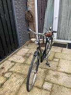 Pointer Damesfiets met Lage Instap, Fietsen en Brommers, Overige merken, Ophalen of Verzenden, 50 tot 53 cm, Gebruikt