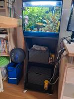 Aquarium fluval 57 liter, Ophalen, Zo goed als nieuw, Gevuld zoetwateraquarium