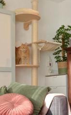 Krabpaal tot plafond, Dieren en Toebehoren, Ophalen, Zo goed als nieuw, Krabpaal