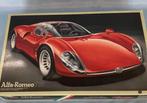 Fujimi Alfa Romeo Tipo 33 1/16 Vintage Plastic Model kit T33, Hobby en Vrije tijd, Modelbouw | Auto's en Voertuigen, Overige merken