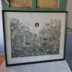 Zeefdruk zwart wit in lijst Rynand Osaday dziwy ogrodu, Antiek en Kunst, Kunst | Litho's en Zeefdrukken, Ophalen