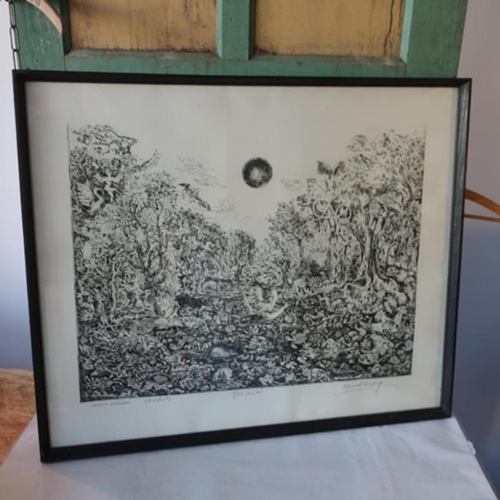 Zeefdruk zwart wit in lijst Rynand Osaday dziwy ogrodu, Antiek en Kunst, Kunst | Litho's en Zeefdrukken, Ophalen