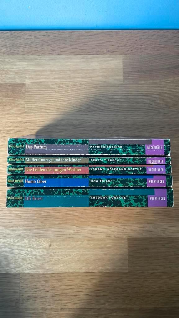 Serie Buchfinken leeslijst VWO eindexamen Duits, Boeken, Literatuur, Zo goed als nieuw, Europa overig, Ophalen of Verzenden