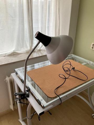 Ezellamp Daylight met klem beschikbaar voor biedingen