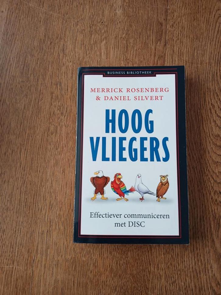 Daniel Silvert - Hoogvliegers, Boeken, Psychologie, Zo goed als nieuw, Ontwikkelingspsychologie, Ophalen of Verzenden