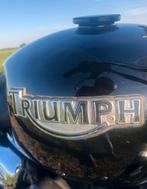 Legend TT 900 2001 37 dkm, Particulier, Meer dan 35 kW, Toermotor, 900 cc