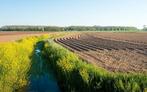 Gezocht!! Landbouwgrond regio twente> 1ha, Dieren en Toebehoren, Stalling en Weidegang