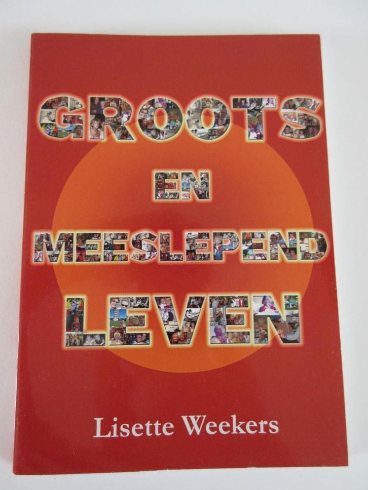 Groots en meeslepend leven - Lisette Weekers, Boeken, Romans, Zo goed als nieuw, Nederland, Ophalen of Verzenden