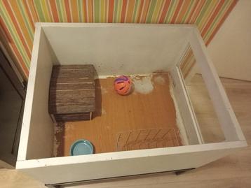 Cavia hok + toebehoren  beschikbaar voor biedingen
