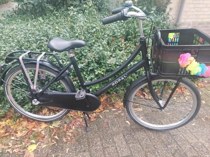 Popal transport meisjes fiets te koop, Fietsen en Brommers, Fietsen | Meisjes, Zo goed als nieuw, 24 inch, Versnellingen, Ophalen of Verzenden