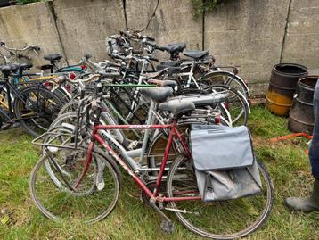 Partij heren en dames fietsen beschikbaar voor biedingen